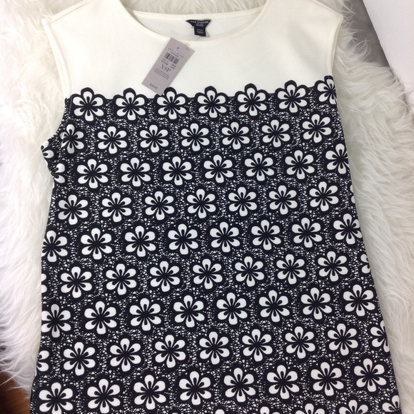 Ann Taylor Tops - Ann Taylor Blouse XSP